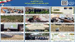 بولتن خبری هفته چهارم تیر ماه ۱۴۰۵ روابط عمومی سازمان جهاد کشاورزی کهگیلویه و بویراحمد